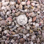 Extra Tiny Seashell Assorted Ocean Mix (approx. 1 kilogram shells 0.25+ inches) Very Small Shell Assortment for ocean art crafts & decor! Copyright 2026 SeaShellSupply.com.