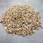 Extra Tiny Seashell Assorted Ocean Mix (approx. 1 kilogram shells 0.25+ inches) Very Small Shell Assortment for ocean art crafts & decor! Copyright 2026 SeaShellSupply.com.