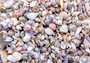 Photo of Extra Tiny Seashell Assorted Ocean Mix For Crafts (approx. 1 Kilogram 0.25+ inches)copyright 2024 SeaShellSupply.com