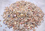 Photo of Extra Tiny Seashell Assorted Ocean Mix For Crafts (approx. 1 Kilogram 0.25+ inches)copyright 2024 SeaShellSupply.com