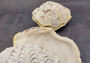 Photo of a Derasa Clam Seashell Tridacna Derasa (1 shell approx. 7+ inches) copyright 2024 SeashellSupply.com