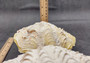 Large Derasa Clam Seashell White Tridacna Derasa (1 shell approx. 7+ inches) Big Derasa Clam Shells for art projects crafts & display!