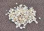 Small White Assorted Seashell Mix (approx. 1 kilogram shells 0.50+ inches) Bulk Small White Shell Assortment for arts crafts & jewelry! Copyright 2025 SeaShellSupply.com.