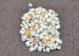 Small White Assorted Seashell Mix (approx. 1 kilogram shells 0.50+ inches) Bulk Small White Shell Assortment for arts crafts & jewelry! Copyright 2025 SeaShellSupply.com.
