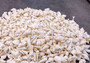 Photo of Small White Assorted Seashell Mix (approx. 1 kilogram assorted shells 0.50+ inches) copyright 2024 SeashellSupply.com