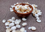 Photo of a 1 cup pile of approx. 125 assorted small white shells. Copyright 2025 SeashellSupply.com