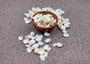 Photo of a 1 cup pile of approx. 125 assorted small white shells. Copyright 2025 SeashellSupply.com