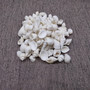 Small White Assorted Seashell Mix (approx. 1 cup +/-125 assorted shells 0.50+ inches) White Shell Assortment for ocean arts & crafts!