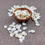 Small White Assorted Seashell Mix (approx. 1 cup +/-125 assorted shells 0.50+ inches) White Shell Assortment for ocean arts & crafts!