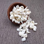 Small White Assorted Seashell Mix (approx. 1 cup +/-125 assorted shells 0.50+ inches) White Shell Assortment for ocean arts & crafts!