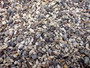 Extra Tiny Seashell Assorted Ocean Mix For Crafts (approx. 1 cup of shells 0.25+ inches) Best quality for ocean decor arts crafts & collecting! Copyright 2025 SeaShellSupply.com.