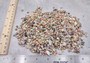 Photo of a 1 cup pile of assorted extra tiny seas shells. 1/8 to 1/4 inches. Copyright 2024 SeaShellSupply.com