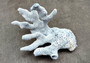 Photo of a small blue ridge coral fragment. Light blue. About three and one half inches long. Copyright 2024 SeashellSupply.com