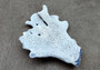 Photo of a small blue ridge coral fragment. Light blue. About three and one half inches long. Copyright 2024 SeashellSupply.com