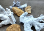 Photo of a medium blue ridge coral fragment. Light blue. About three and one half inches long. Copyright 2024 SeashellSupply.com