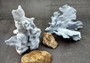 Photo of a large blue ridge coral fragment. Light blue. About three and one half inches long. Copyright 2024 SeashellSupply.com
