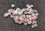 Light Pink Tellin Seashell Rose Petal Halves (approx. 0.25 cup 70+ shells 0.15+ inches) Rose Pink White Shells for crafts & art projects. Copyright 2024 SeashellSupply.com
