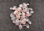 Light Pink Tellin Seashell Rose Petal Halves (approx. 0.25 cup 70+ shells 0.15+ inches) Rose Pink White Shells for crafts & art projects. Copyright 2024 SeashellSupply.com
