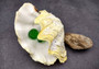 Photo of Derasa Clam Seashell Tridacna Derasa shell pair. Copyright 2024 SeashellSupply.com