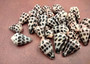 Photo of Extra Small Hebrew Cone Seashells Conus Ebraeus (5 shells approx. 0.25+ inches). Copyright 2025 SeashellSupply.com
