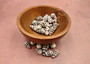 Photo of Extra Small Hebrew Cone Seashells Conus Ebraeus (5 shells approx. 0.25+ inches). Copyright 2025 SeashellSupply.com