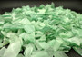 Beach Glass Coke Bottle Green Rough Medium Tumbled (approx. 10 pounds 0.5-1+ inches) Copyright 2025 Seashellsupply.com.