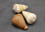 Large Cone Seashell Assortment Mix (3 shells approx. 2.5+ inches) Colorful Assorted Cone Shells for gifts crafts display & collecting!