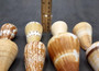 Large Cone Seashell Assortment Mix (3 shells approx. 2.5+ inches) Colorful Assorted Cone Shells for gifts crafts display & collecting!