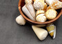 Large Cone Seashell Assortment Mix (3 shells approx. 2.5+ inches) Colorful Assorted Cone Shells for gifts crafts display & collecting!