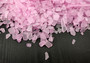 Beach Sea Glass Rough Light Pink Medium Tumbled (approx. 1 kilogram 0.5-1+ inches) Man made tumbled sea glass fragments. Copyright 2025 seashellsupply.com Beach Sea Glass Rough Light Pink Medium Tumbled (approx. 1 kilogram 0.5-1+ inches) Man made tumbled sea glass fragments. Copyright 2025 seashellsupply.com