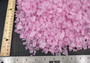 Beach Sea Glass Rough Light Pink Medium Tumbled (approx. 1 kilogram 0.5-1+ inches) Man made tumbled sea glass fragments. Copyright 2025 seashellsupply.com Beach Sea Glass Rough Light Pink Medium Tumbled (approx. 1 kilogram 0.5-1+ inches) Man made tumbled sea glass fragments. Copyright 2025 seashellsupply.com