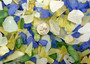 Beach Sea Glass Rough Atlantic Mix Medium Tumbled (approx. 10 pounds 0.5-1+ inches) Man made tumbled rough sea glass fragments. Copyright 2024 seashellsupply.com