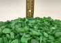 Beach Sea Glass Rough Dark Green Medium Tumbled (approx. 1 kilogram 0.5-1+ inches) Man made frosted sea glass fragments Copyright 2025 seashellsupply.com