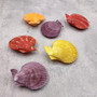Noble Scallop Seashell Pairs Assorted Colors (3 shell pairs approx. 2+ inches) Pecten Nobilis Shells for crafting decoration & display! Copyright 2026 SeaShellSupply.com.