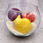 Noble Scallop Seashell Pairs Assorted Colors (3 shell pairs approx. 2+ inches) Pecten Nobilis Shells for crafting decoration & display!