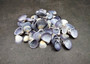 Purple Violet Clam Seashell Halves Macta Violacea (approx. HALF cup +/-50 shells 0.75+ inches) Purple Clam shells for collecting & crafting!