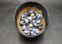 Purple Violet Clam Seashell Halves Macta Violacea (approx. HALF cup 50+ shells 0.75+ inches) Purple Clam shells for collecting & crafting! Copyright 2025 SeaShellSupply.com.