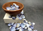 Purple Violet Clam Seashell Halves Macta Violacea (approx. HALF cup 50+ shells 0.75+ inches) Purple Clam shells for collecting & crafting! Copyright 2025 SeaShellSupply.com.