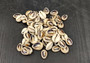 Cut Top Purple Top Cowrie (Approx. half cup 55+ shells 0.5+ inches) Sliced shells for crafting & display! Tan and purple small shells, perfect for jewelry making. Copyright 2025 SeaShellSupply.com