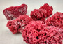 Light Red Pipe Organ Coral Tubipora Musica (1 coral approx. 3+ inches) B GRADE Great coral to add to any collection or display! Red textured flayed coral. Copy right 2024 SeaShellSupply.com\n