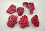 Light Red Pipe Organ Coral Tubipora Musica (1 coral approx. 3+ inches) B GRADE Great coral to add to any collection or display! Red textured flayed coral. Copy right 2024 SeaShellSupply.com\n