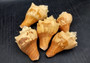 Carved Conch Seashell Decorative Set Elephant Antelope Hippo Cheetah Giraffe (5 shells approx. 3+ inches) Great for display & gifting! Brown and tan spiral shells. Copy right 2024 SeaShellSupply.com\n