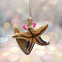 Surfing Santa Starfish Ornament (1 seastar approx. 5+ inches) Real Festive Starfish Xmas Hanging Ornament! Copyright 2025 SeaShellSupply.com