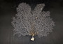 White Sea Fan Coral (1 fan approx. 12-13+ inches) Adorable sea fan for any coastal projects or as a collection addition!