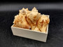 Image of Carved Conch Seashell Decorative Set Of Eagle Love Birds and Peacock (approx. 3+ in shell) Conch shell great for coastal crafting & gifting! Copyright 2024 SeashellSupply.com