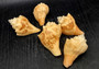 Carved Conch Shell Decorative Fish Octopus Peacock Sunset Lovebirds (5 shells approx. 3+ inches) Conch Shells for crafts & display!