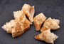 Carved Conch Seashell Decorative Set Fish (3 shells approx. 3+ inches) Light Tan Carved Conch Shells for crafting display & collecting!