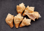 Carved Conch Seashell Decorative Set Fish (3 shells approx. 3+ inches) Light Tan Carved Conch Shells for crafting display & collecting!