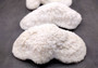 White Bowl Coral Cluster Halomitra Pileus (1 coral approx. 8-9+ inches) Great delicate coral to add to any fun display or coastal crafts! Copyright 2025 SeaShellSupply.com.