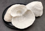 White Bowl Coral Cluster Halomitra Pileus (1 coral approx. 6-7+ inches) Large domed white coral. Copyright 2025 SeaShellSupply.com.
